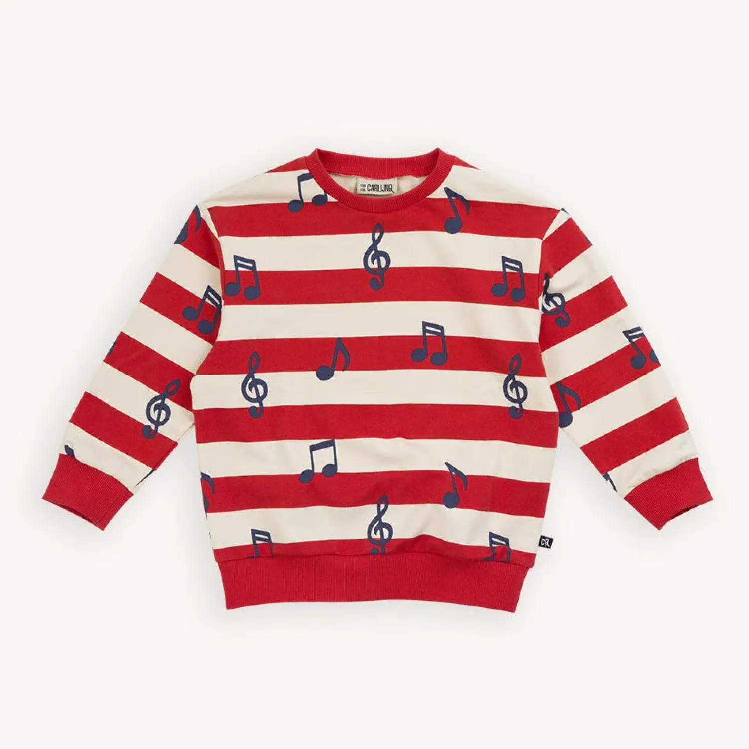 CARLIJNQ Face Masks> Music Notes - Kids Sweater Organic