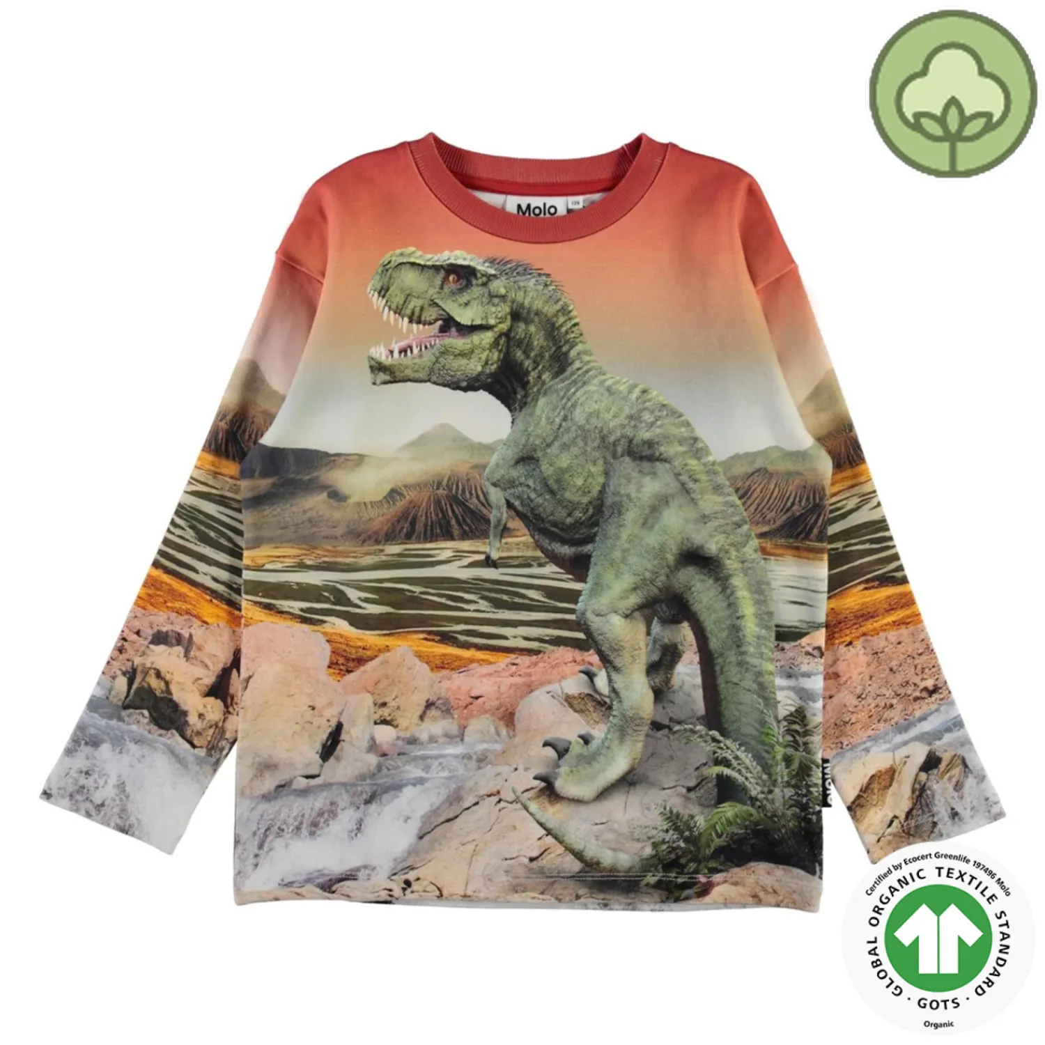Molo Kids Sweatshirts> Dino Landscape Mountoo Sweatshirt