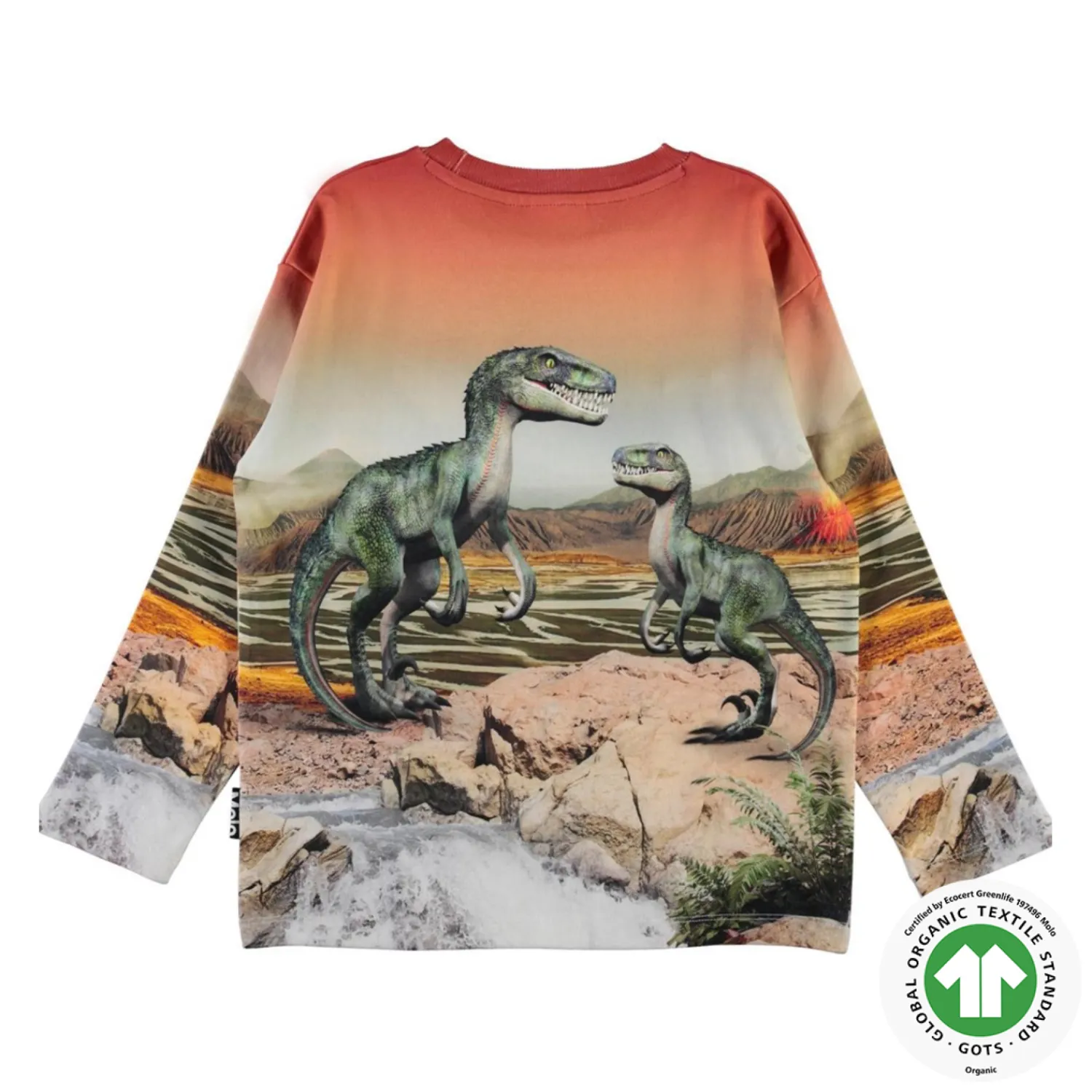 Molo Kids Sweatshirts> Dino Landscape Mountoo Sweatshirt