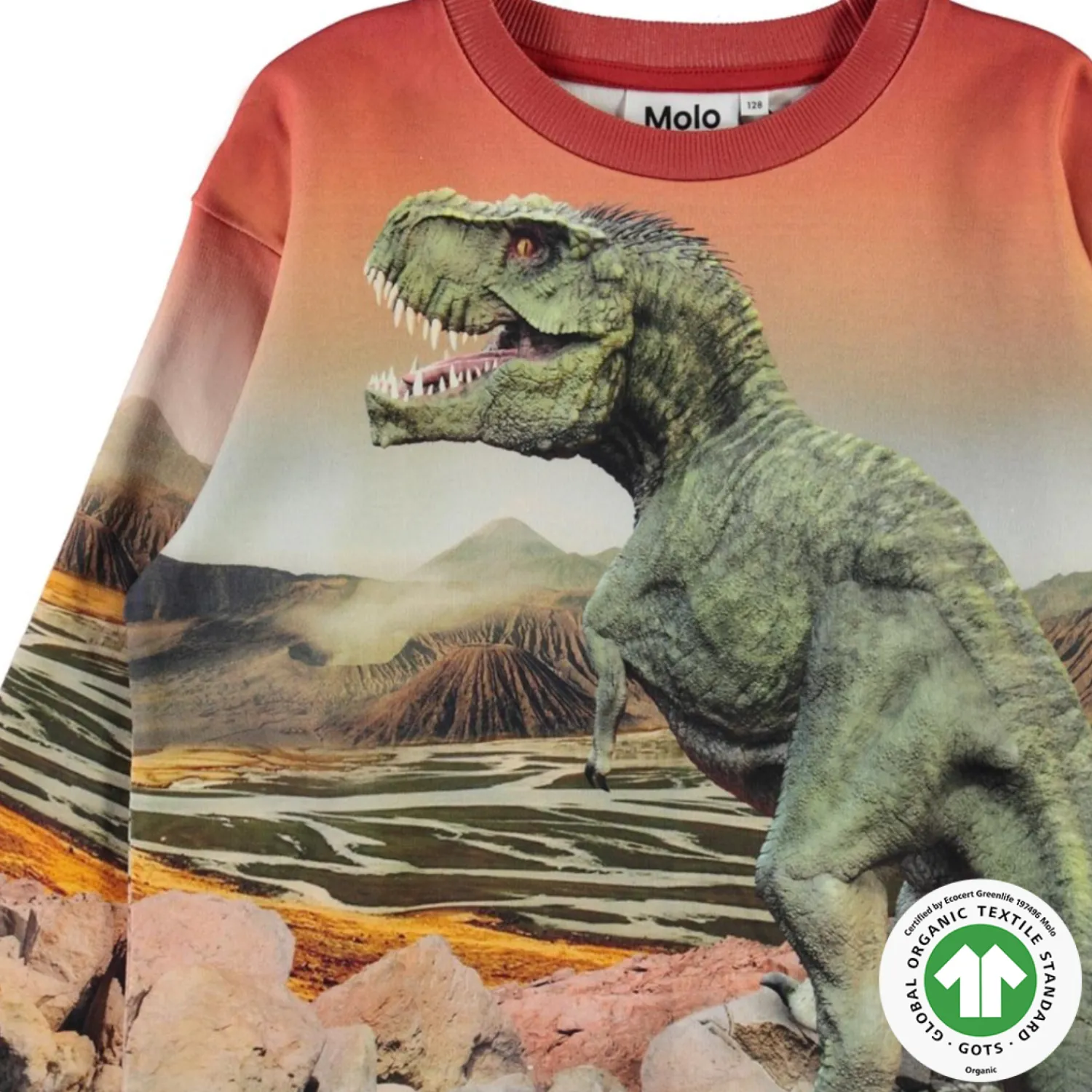 Molo Kids Sweatshirts> Dino Landscape Mountoo Sweatshirt