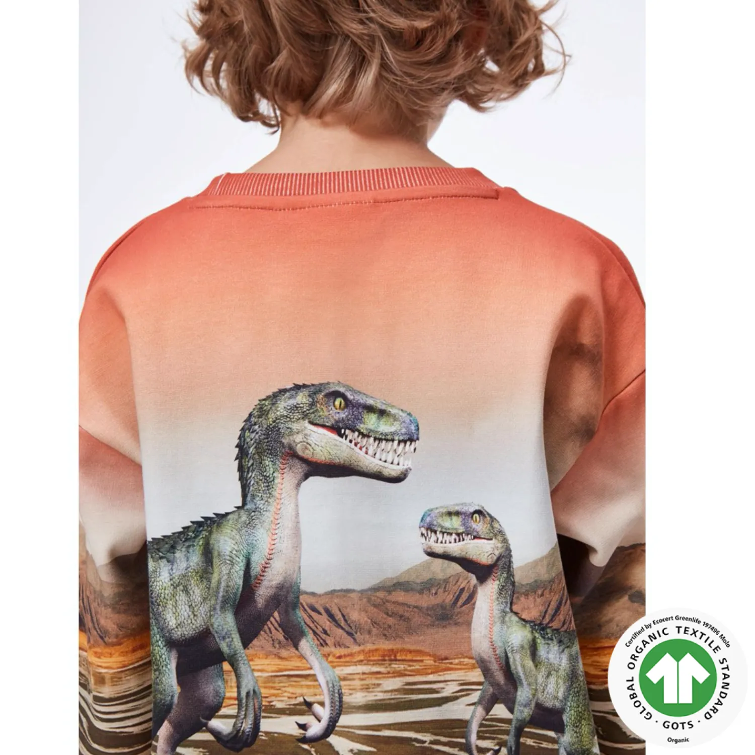 Molo Kids Sweatshirts> Dino Landscape Mountoo Sweatshirt
