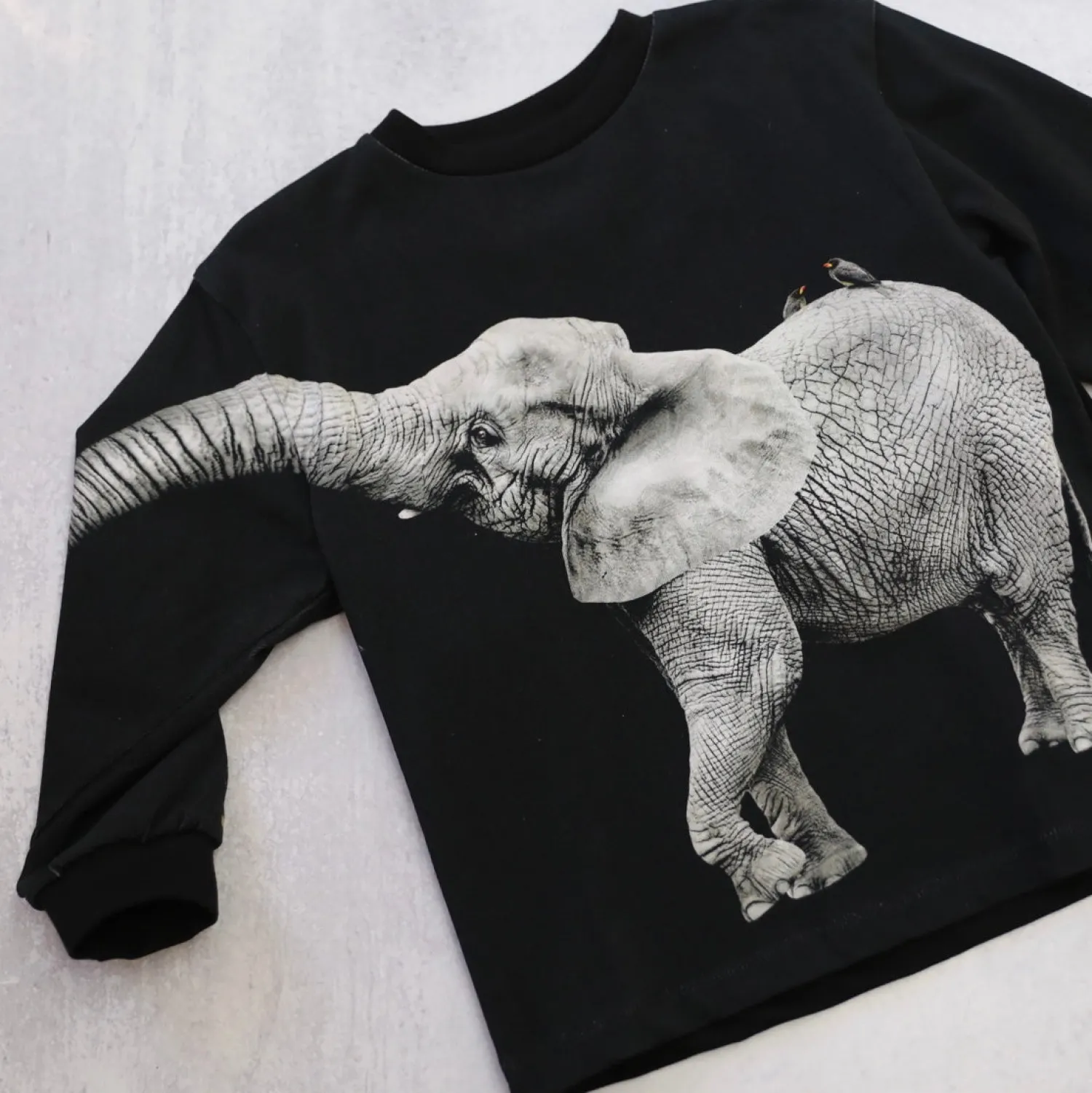 Molo Kids Sweatshirts> Elephant Rube Sweatshirt