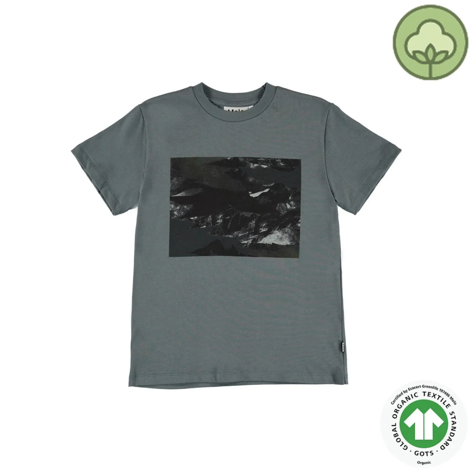 Molo Kids T Shirts> Roxo Mountain Camo T Shirt