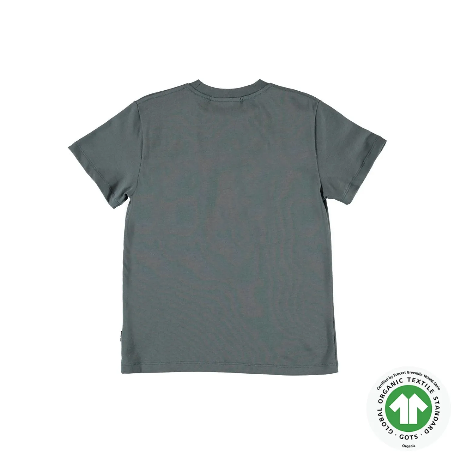 Molo Kids T Shirts> Roxo Mountain Camo T Shirt