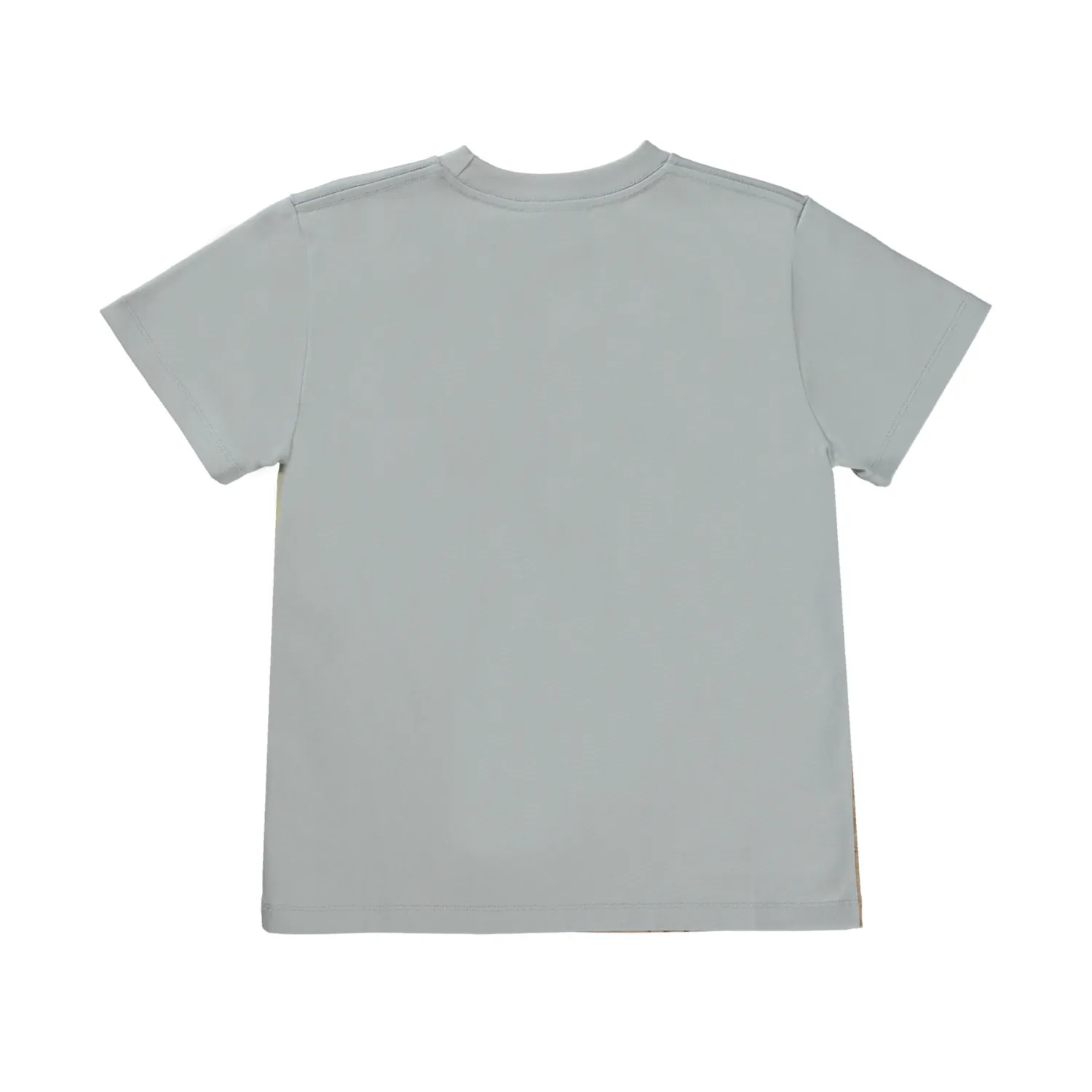 Molo Kids T Shirts>Molo X Jurassic World Kids Roxo Dinos Galore T Shirt