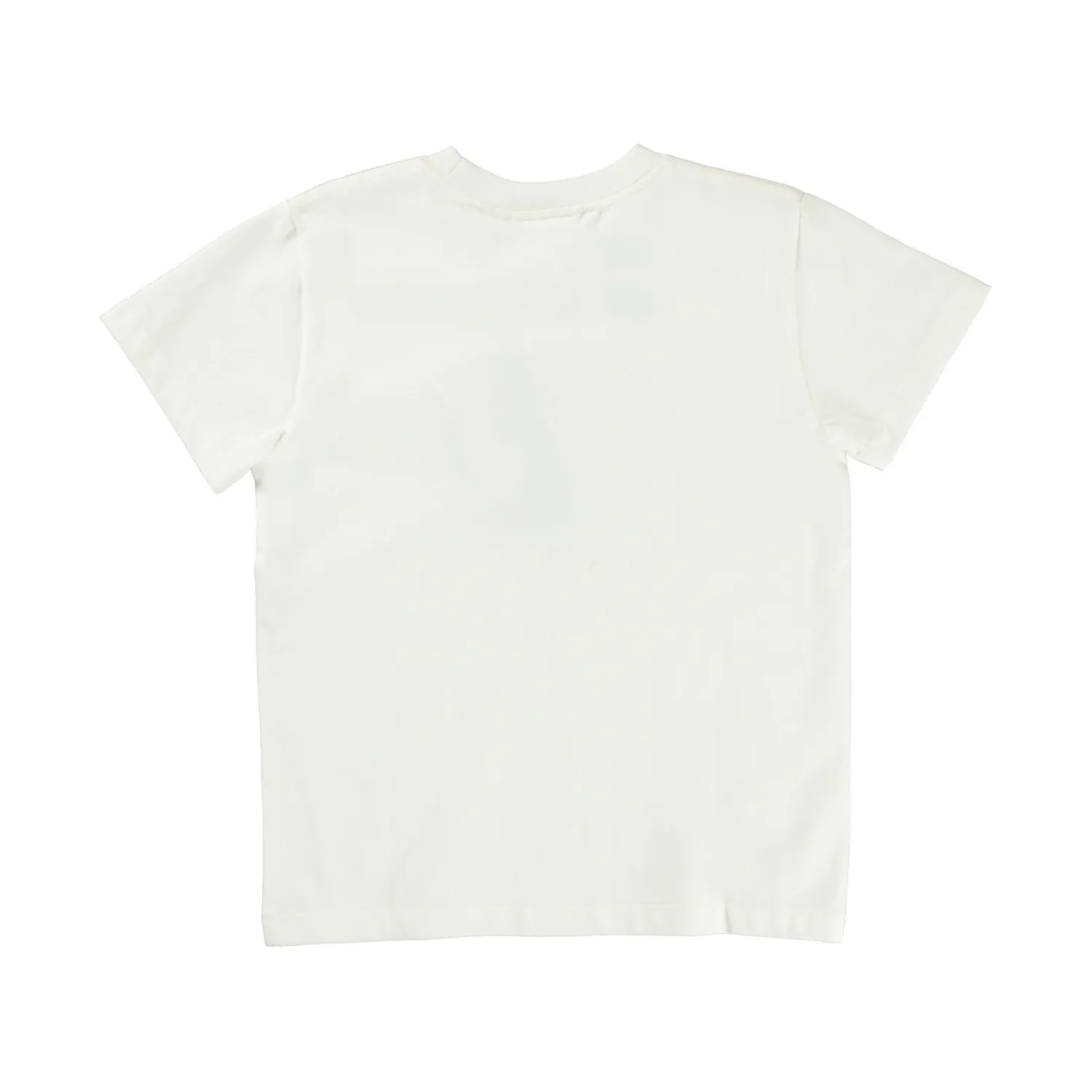 Molo Kids T Shirts>Molo X Jurassic World Kids Roxo Jurassic World T Shirt