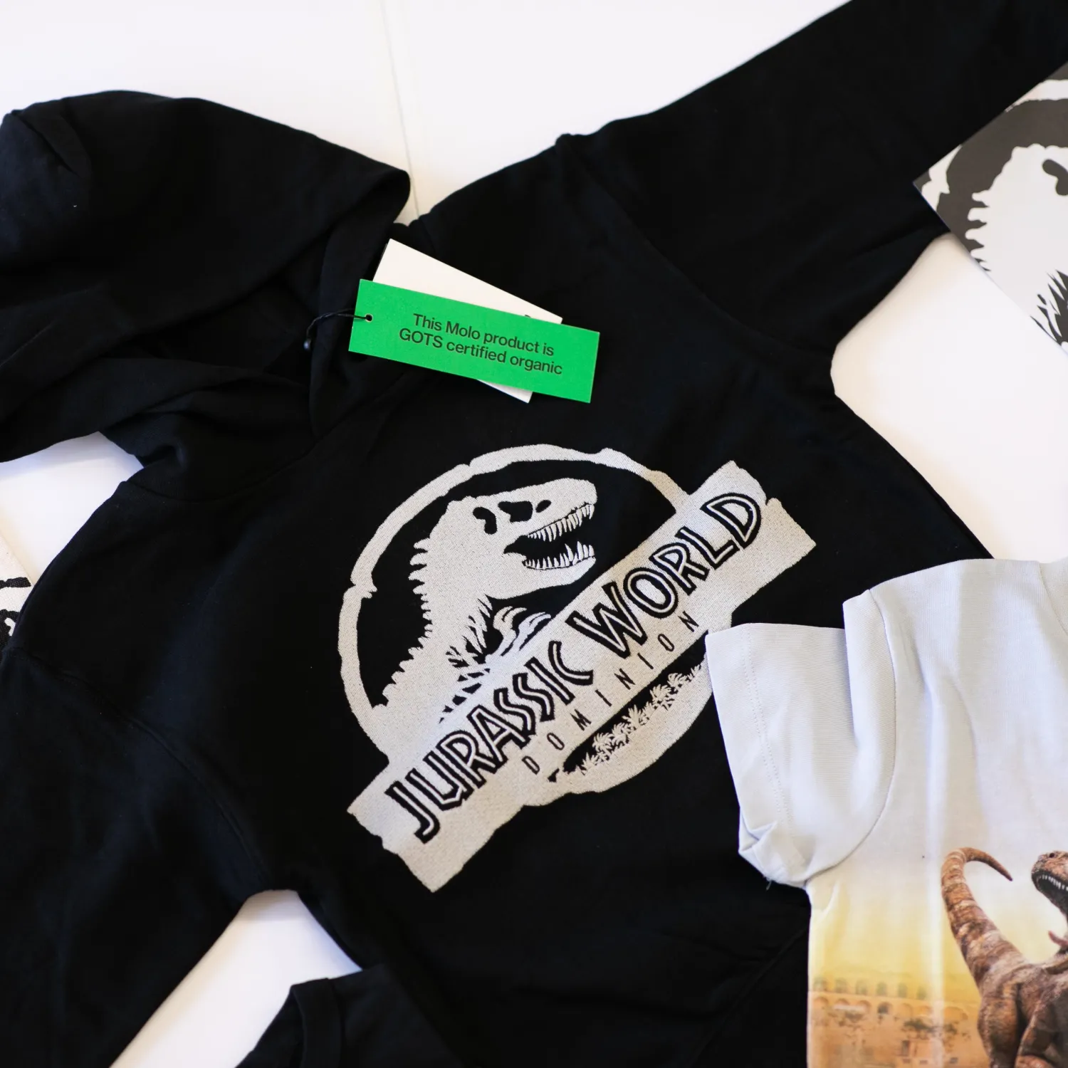 Molo Kids T Shirts>Molo X Jurassic World Kids Moz Jurassic Dominion Pullover