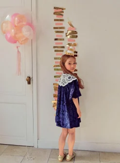 Petite Hailey Overalls & Jumpsuits> Lace Collar Dress Navy