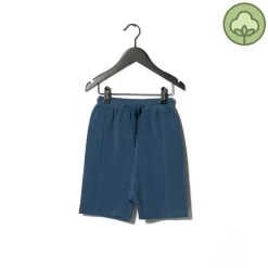 Sometime Soon Shorts> Alvin Shorts Blue