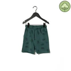 Sometime Soon Shorts> Willow Shorts Green