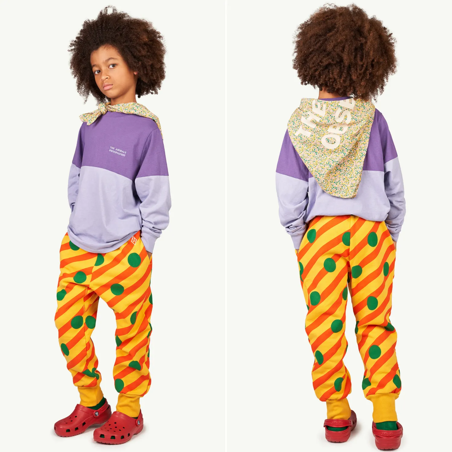 The Animals Observatory Blouses> Bicolor Dog T Shirt Purple
